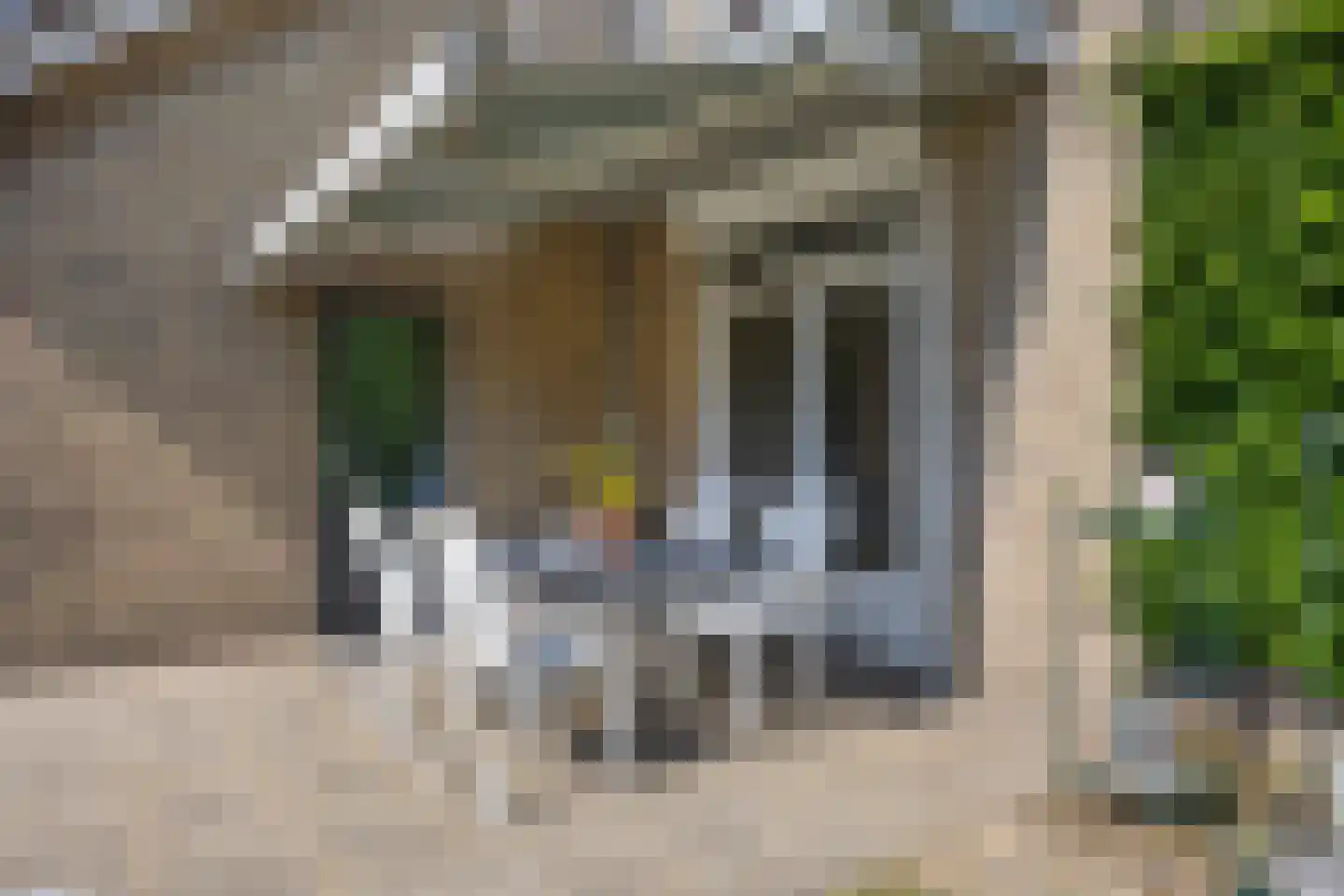 Brouwerstraat 5 Sint-Michielsgestel thumbnail 33