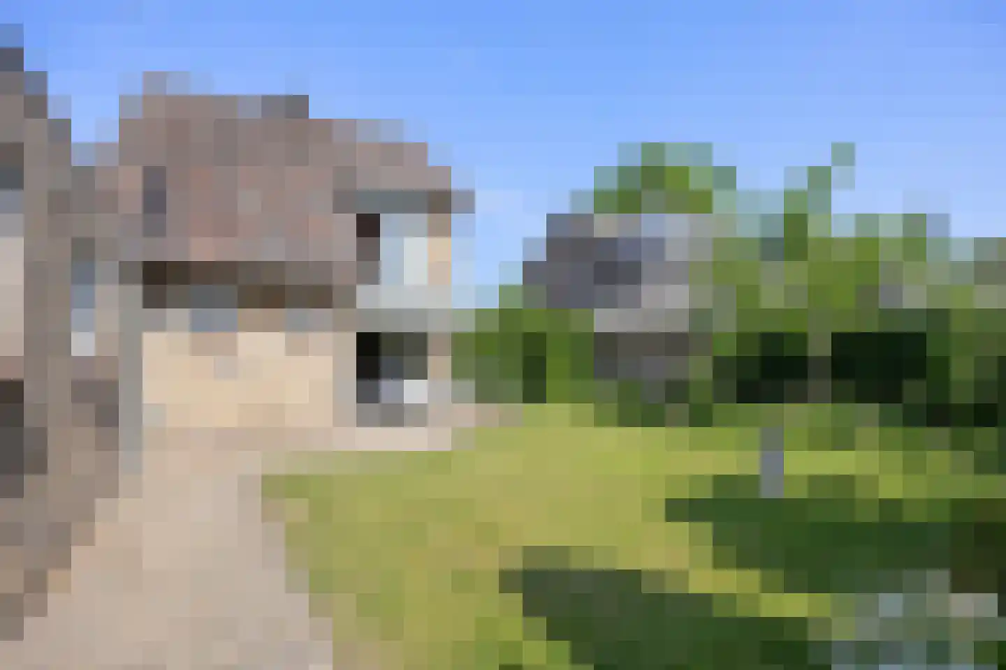 Brouwerstraat 5 Sint-Michielsgestel thumbnail 34