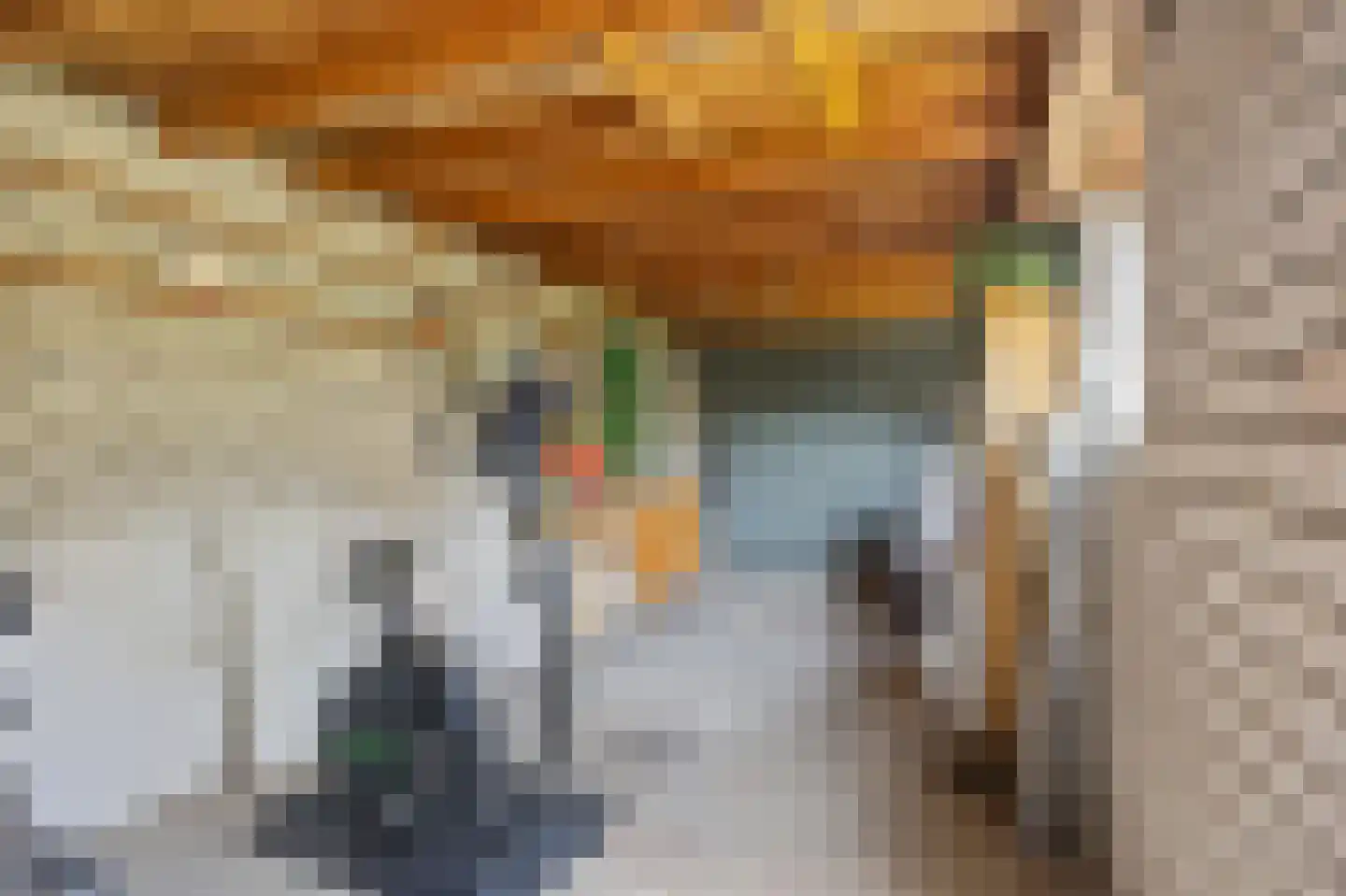 Brouwerstraat 5 Sint-Michielsgestel thumbnail 38
