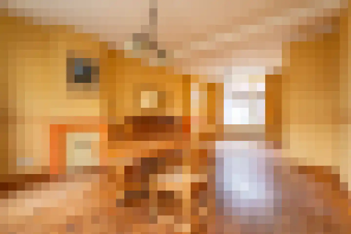 Brouwerstraat 62 Rijnsburg thumbnail 4