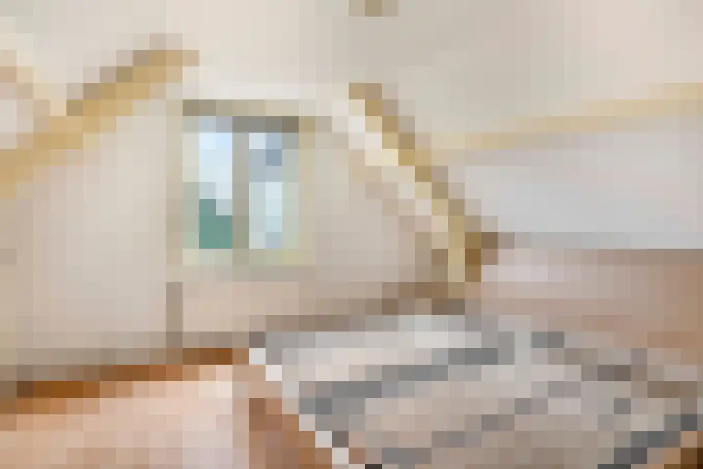 Brouwerstraat 69 Den Helder thumbnail 18