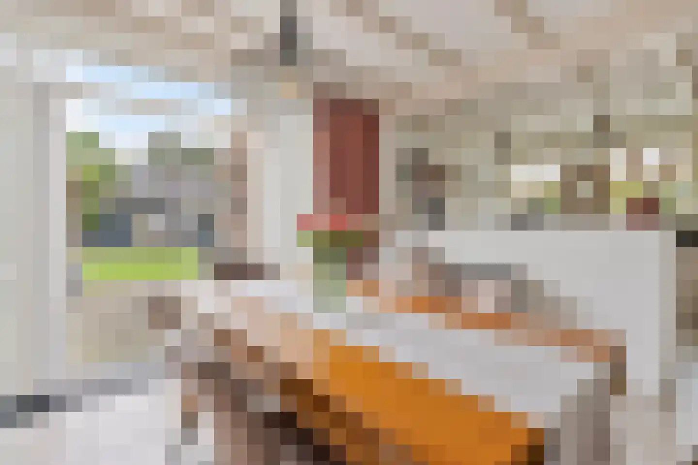 Brouwerstraat 7 Well L thumbnail 13