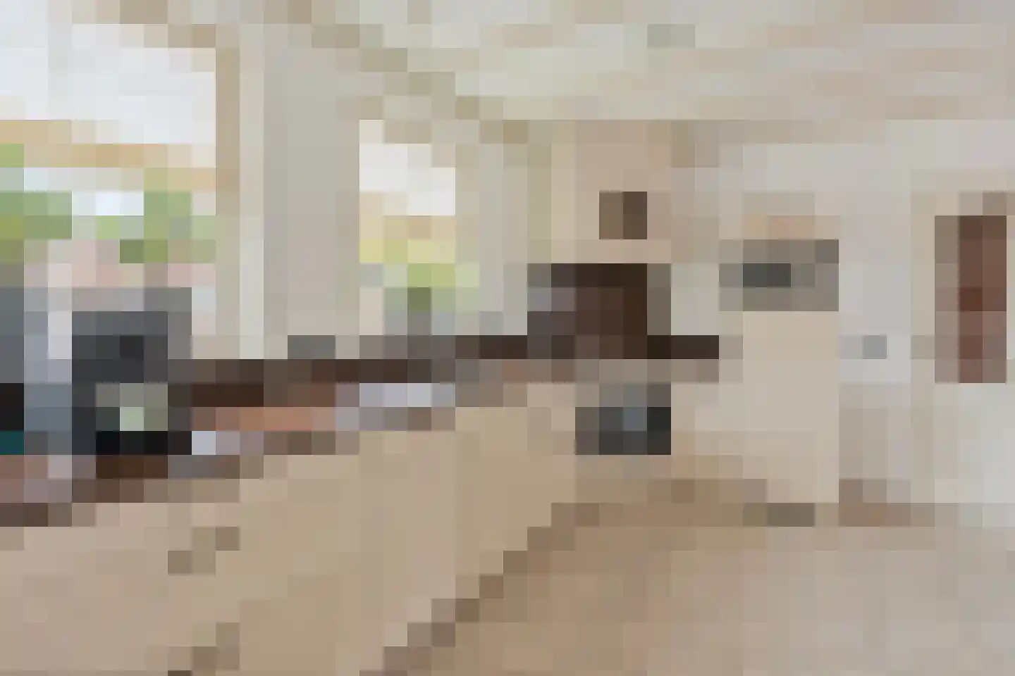 Brouwerstraat 7 Well L thumbnail 16