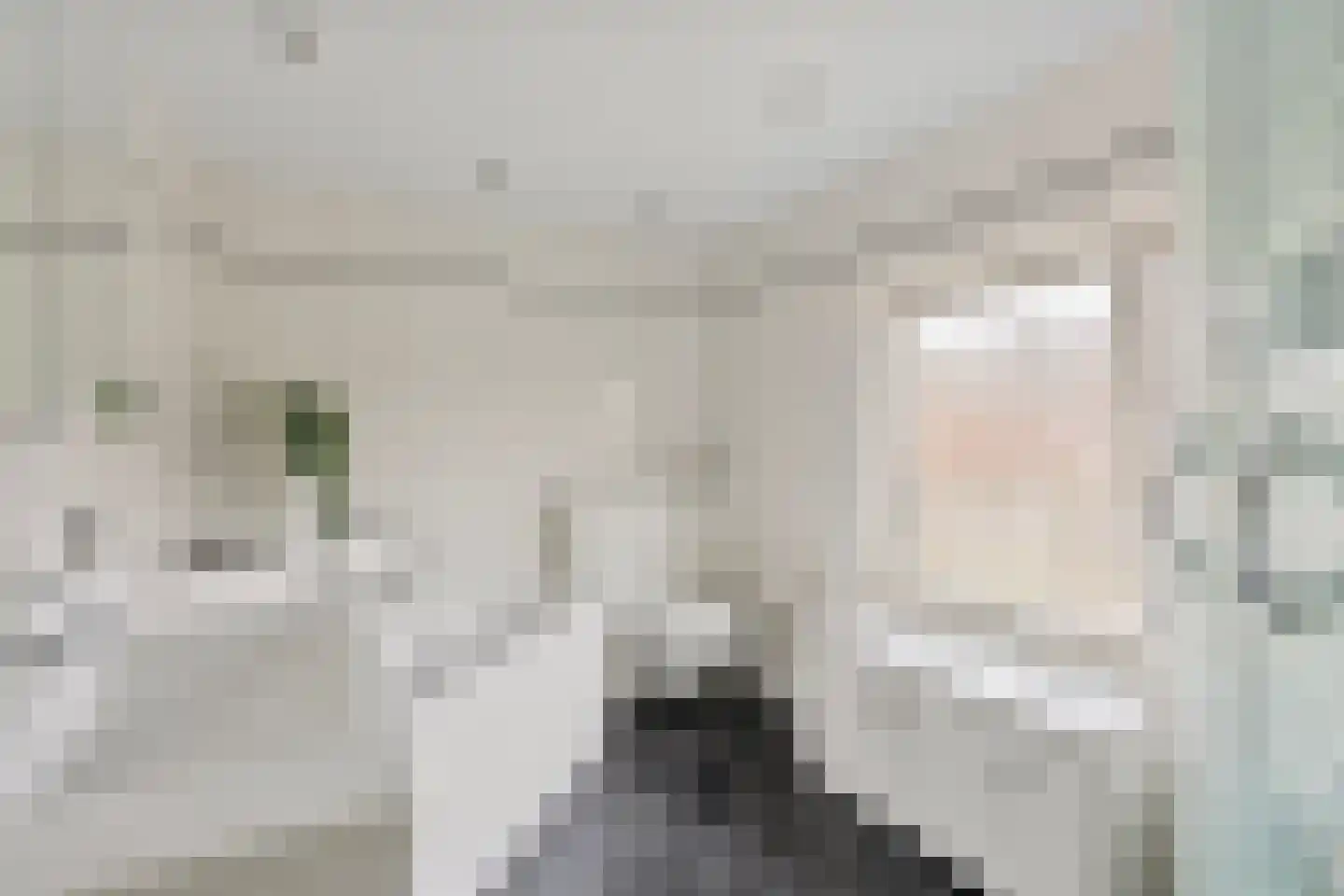 Brouwerstraat 7 Well L thumbnail 30
