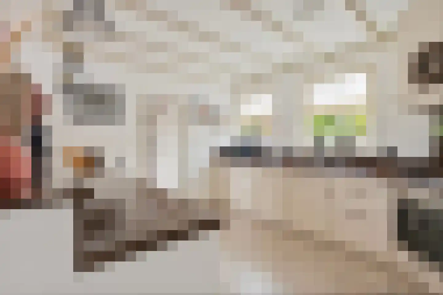 Brouwerstraat 7 Well L thumbnail 4