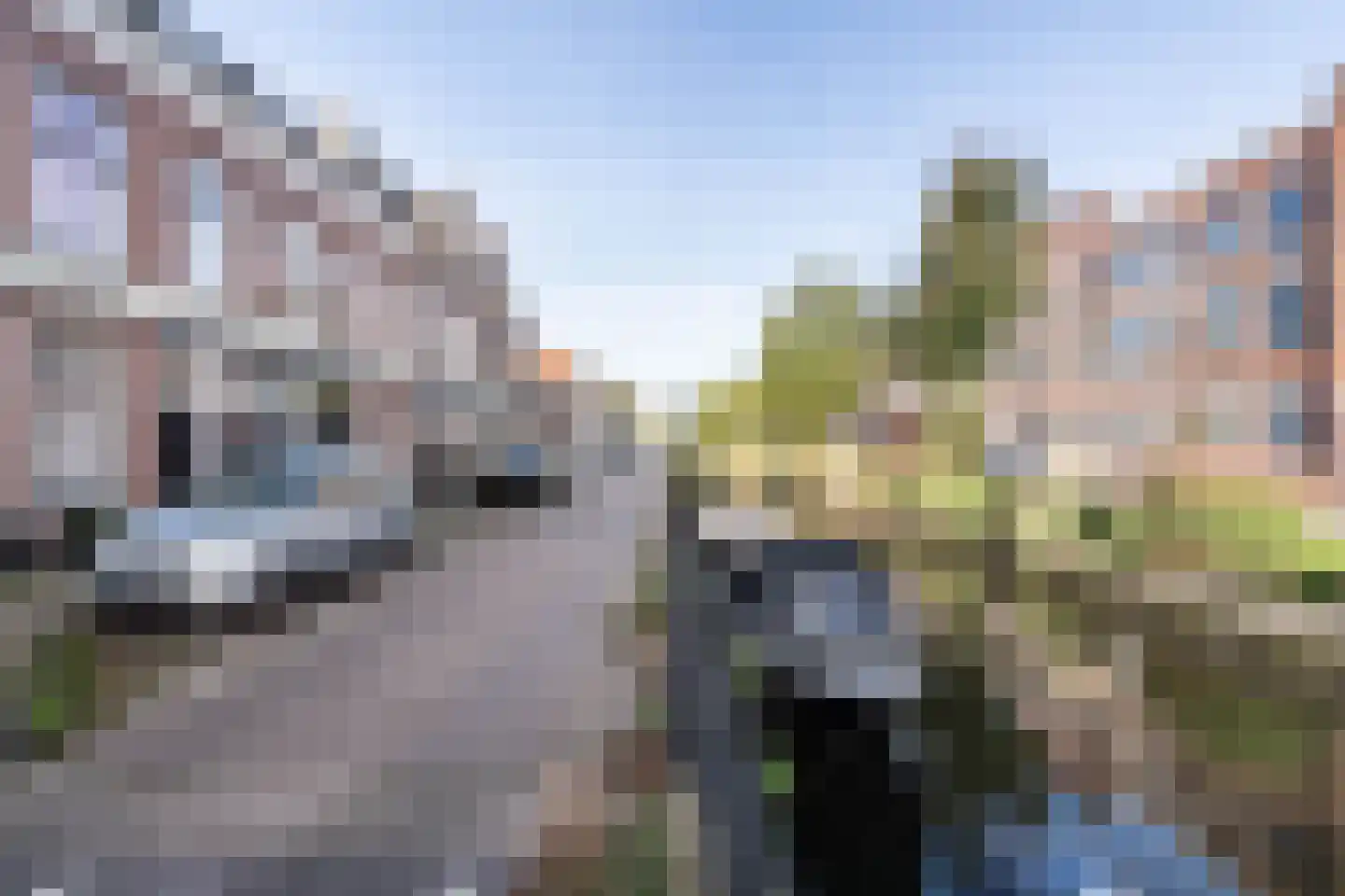 Brouwersvaart 106 A RD Haarlem thumbnail 5