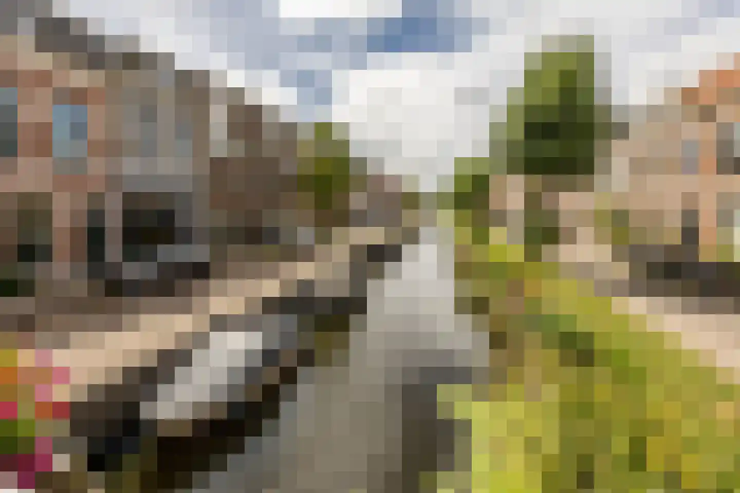 Brouwersvaart 112 Haarlem thumbnail 29