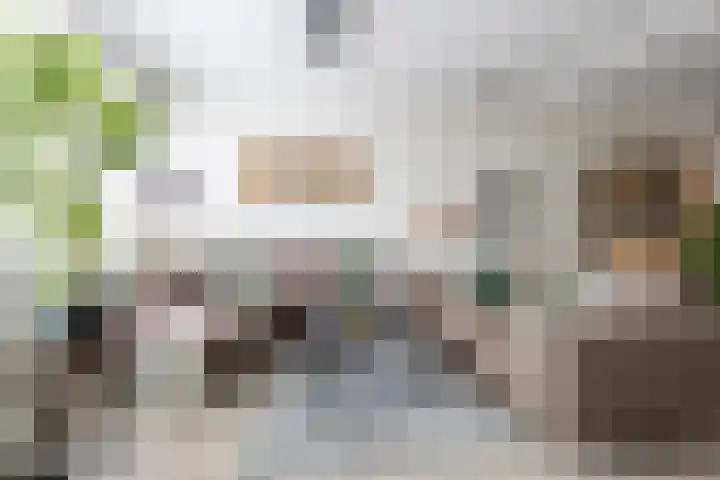 Brouwersveld 22 Koog aan de Zaan thumbnail 4