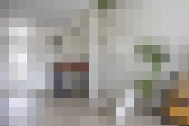 Brouwersveld 22 Koog aan de Zaan thumbnail 8