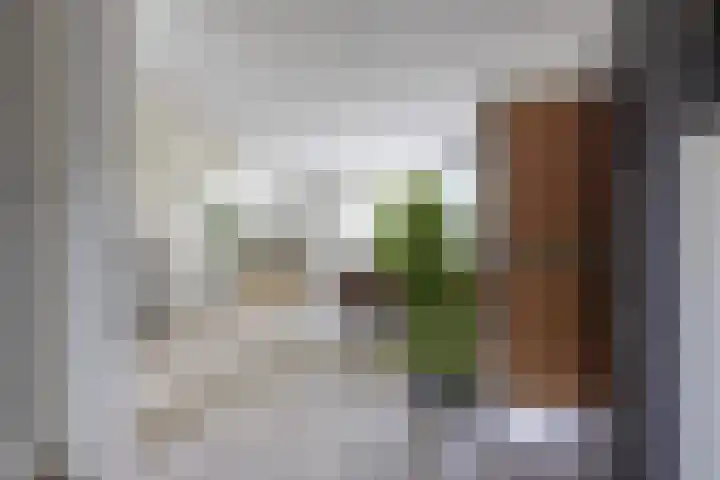 Brouwersveld 22 Koog aan de Zaan thumbnail 9
