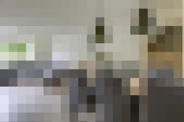 Brouwersveld 22 Wehl thumbnail 13