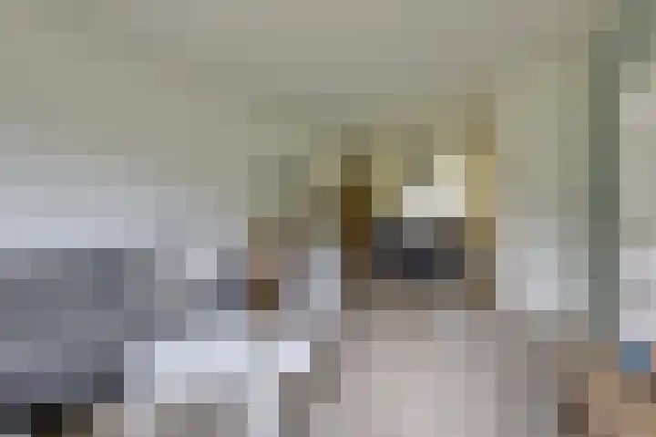 Brouwersveld 22 Wehl thumbnail 17
