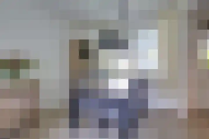 Brouwersveld 22 Wehl thumbnail 18