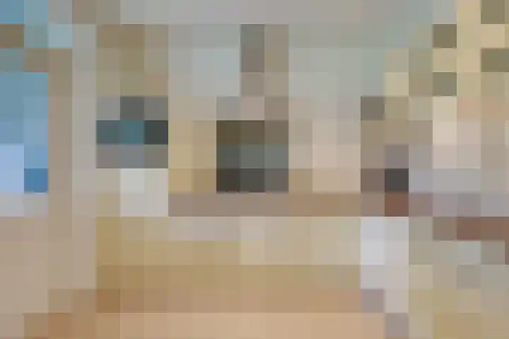 Brouwersveld 22 Wehl thumbnail 19