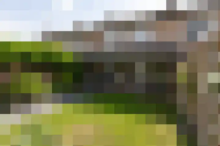 Brouwersveld 22 Wehl thumbnail 23