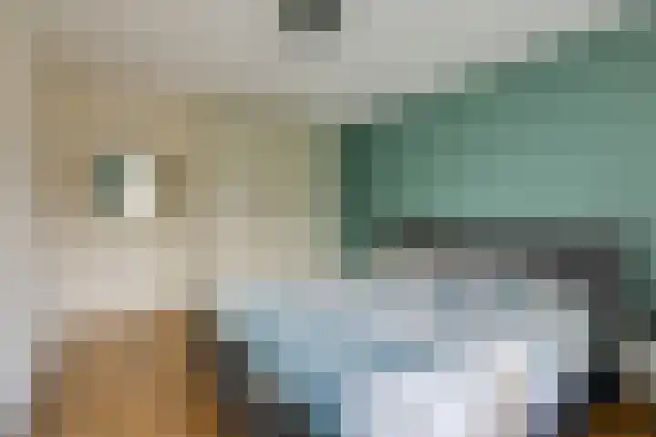 Brouwersveld 22 Wehl thumbnail 31