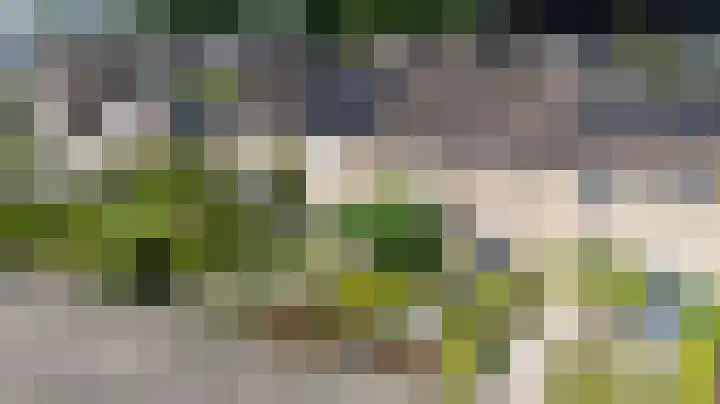 Brouwersveld 22 Wehl thumbnail 46