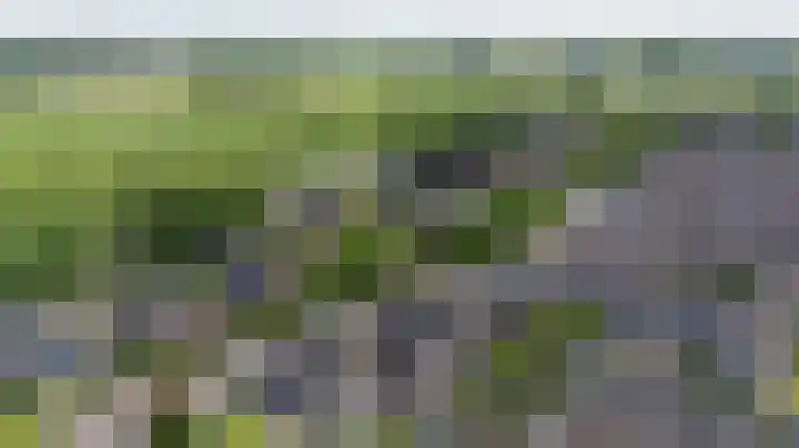 Brouwersveld 22 Wehl thumbnail 48
