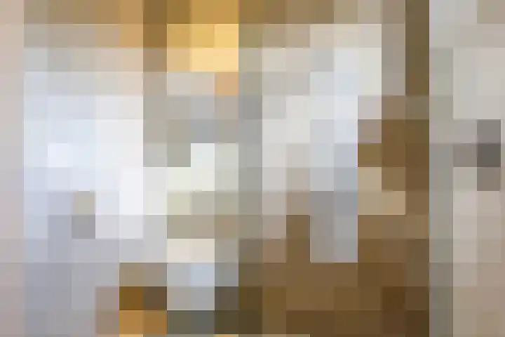 Brouwersveld 26 Wehl thumbnail 31