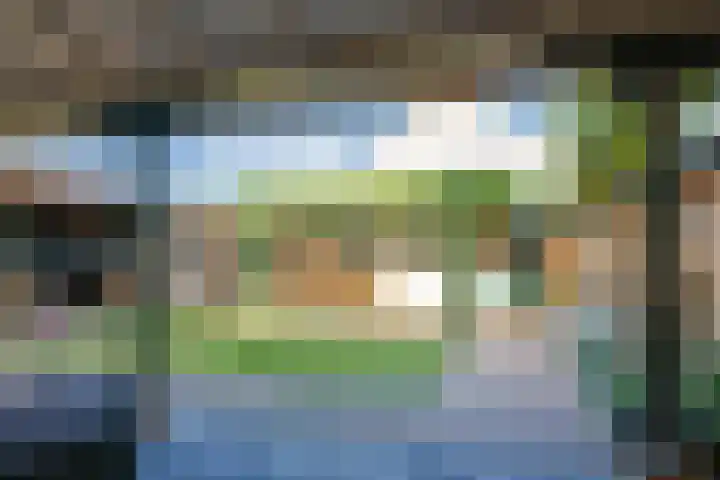 Brouwersveld 26 Wehl thumbnail 39