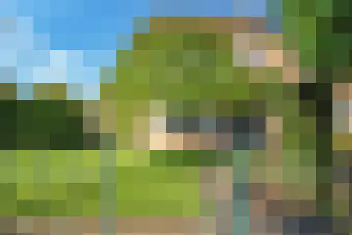 Brouwersveld 26 Wehl thumbnail 4