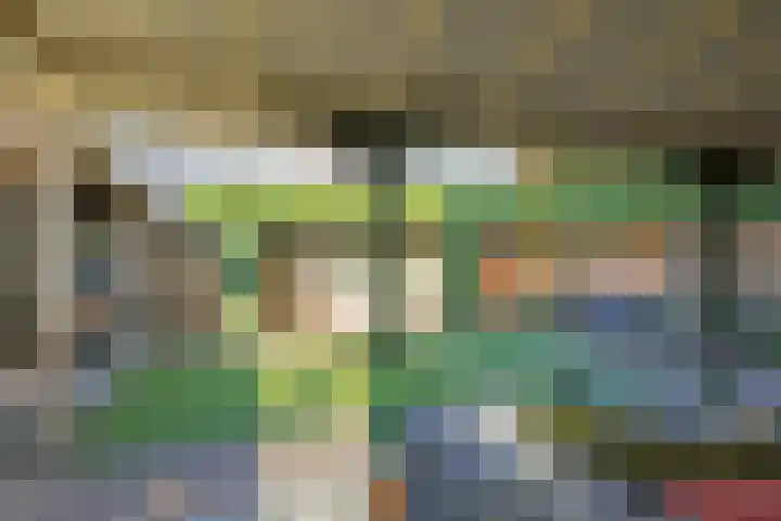 Brouwersveld 26 Wehl thumbnail 41