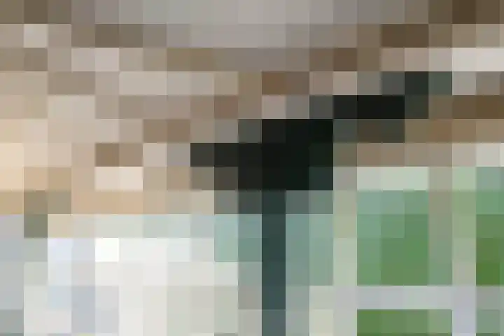 Brouwersveld 26 Wehl thumbnail 43