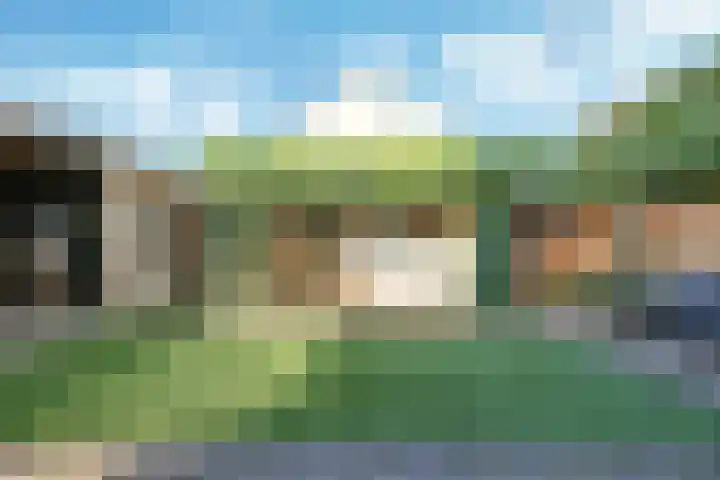 Brouwersveld 26 Wehl thumbnail 50