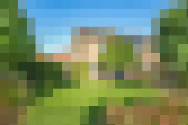 Brouwersveld 26 Wehl thumbnail 58