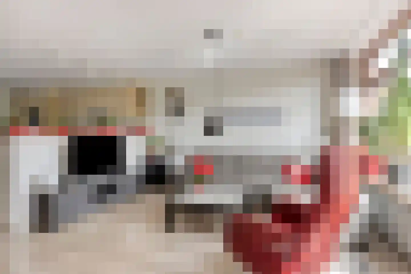 Brouwersveld 3 Koog aan de Zaan thumbnail 13
