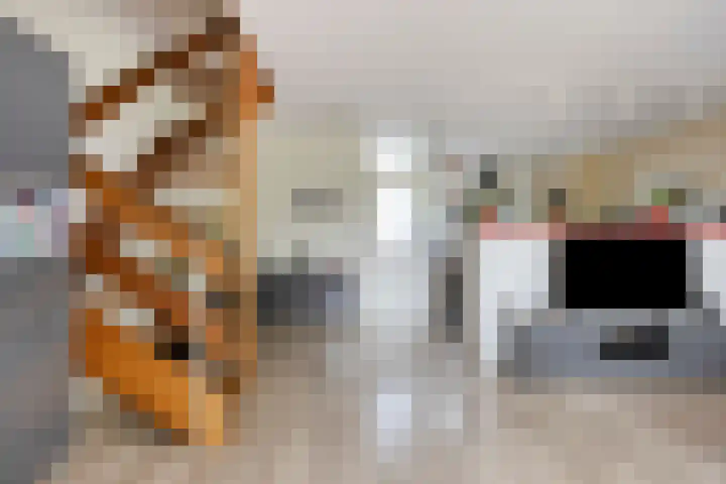 Brouwersveld 3 Koog aan de Zaan thumbnail 16