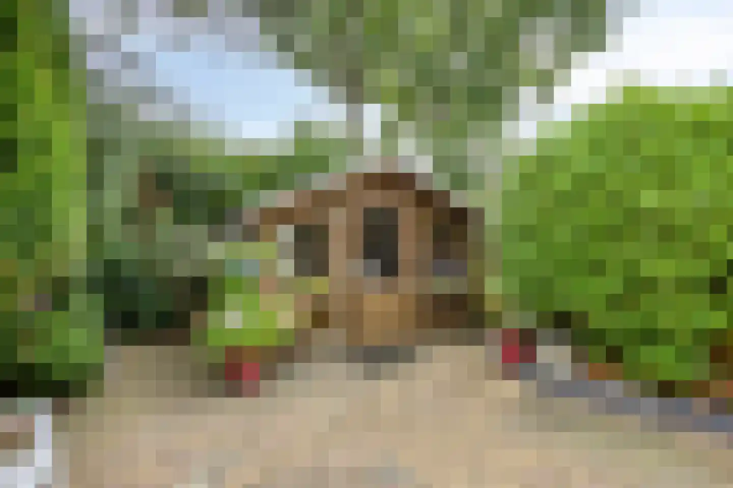 Brouwersveld 3 Koog aan de Zaan thumbnail 41