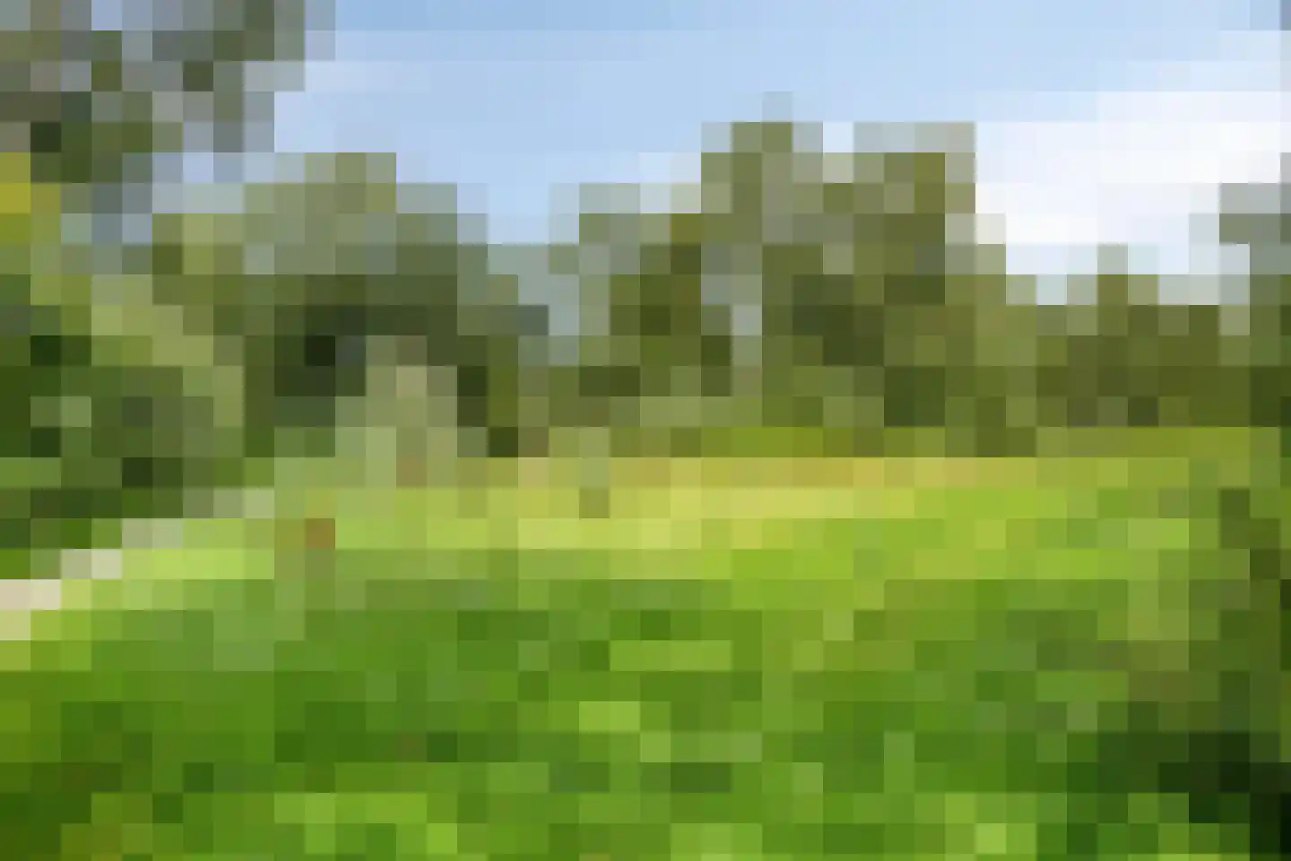 Brouwersveld 3 Koog aan de Zaan thumbnail 44