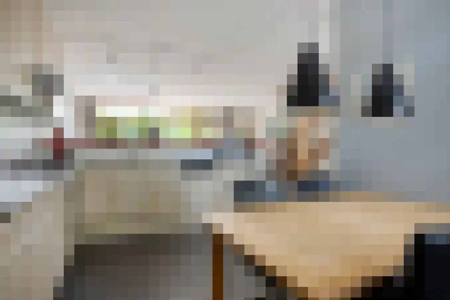 Brouwersveld 3 Koog aan de Zaan thumbnail 5