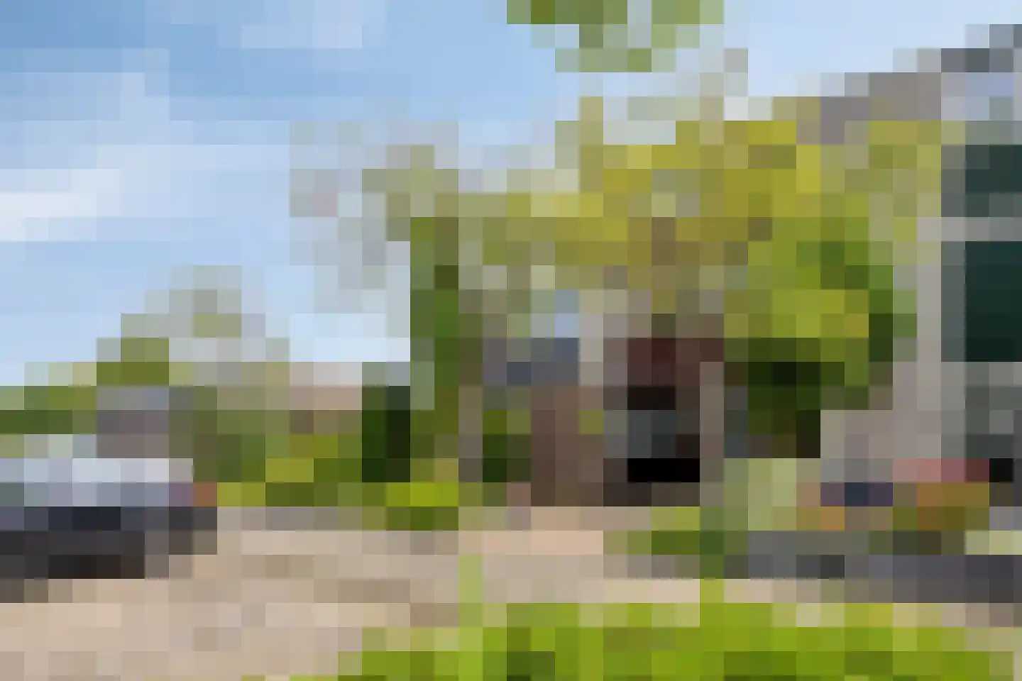 Brouwersveld 3 Koog aan de Zaan thumbnail 7