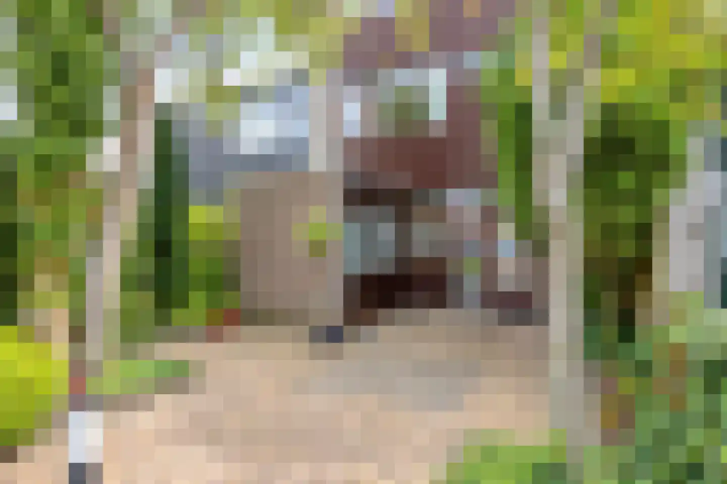 Brouwersveld 3 Koog aan de Zaan thumbnail 8