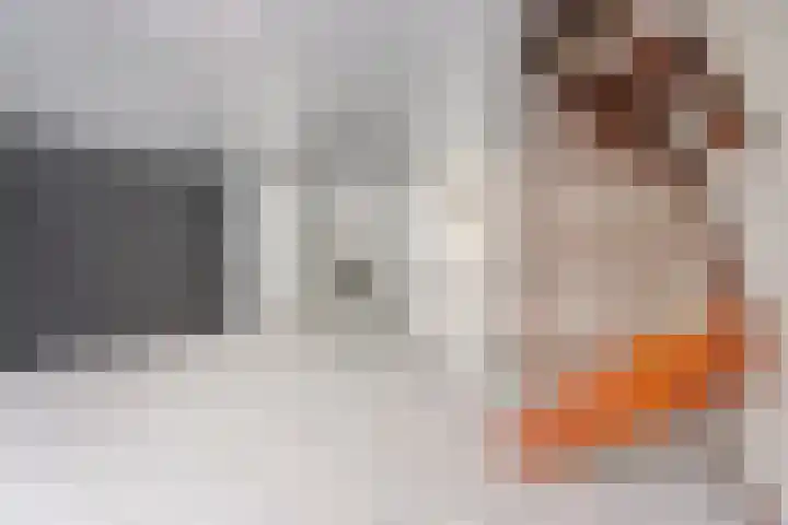 Brouwersveld 32 Koog aan de Zaan thumbnail 10