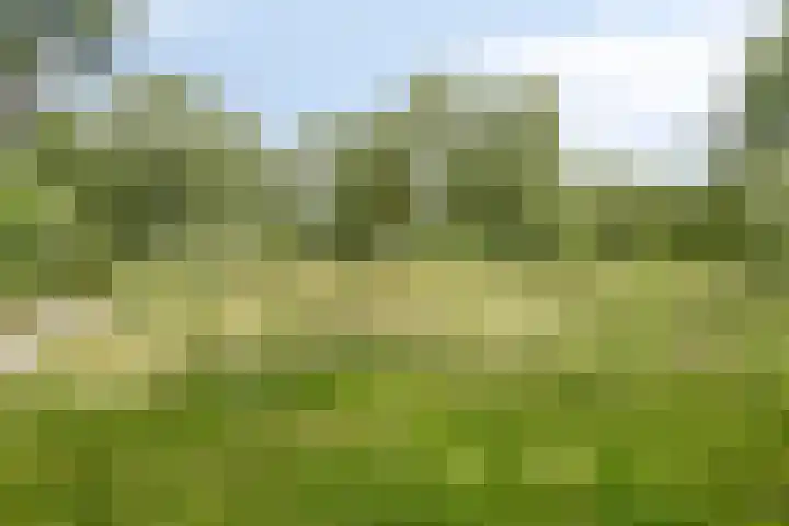 Brouwersveld 32 Koog aan de Zaan thumbnail 22