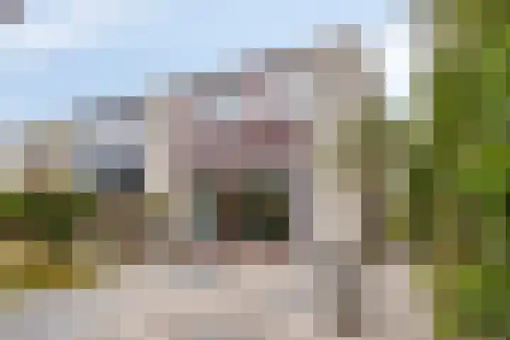 Brouwersveld 32 Koog aan de Zaan thumbnail 30