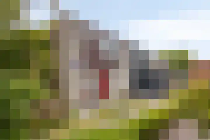 Brouwersveld 32 Koog aan de Zaan thumbnail 4