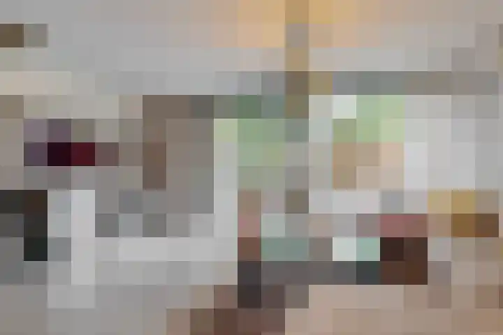 Brouwersveld 49 Koog aan de Zaan thumbnail 11