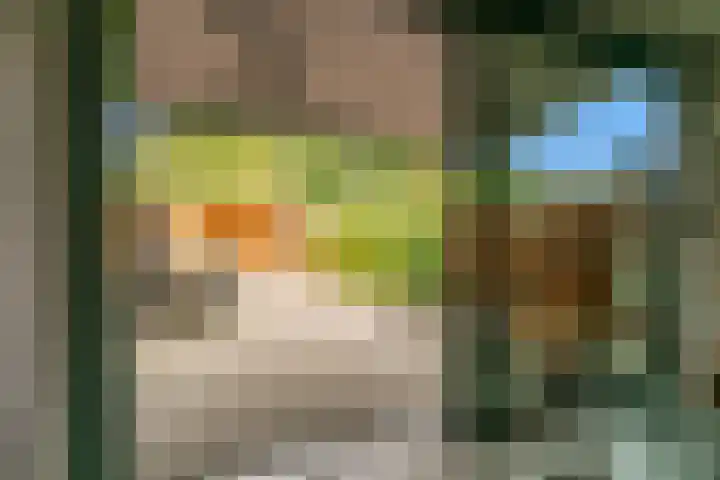 Brouwersveld 49 Koog aan de Zaan thumbnail 12