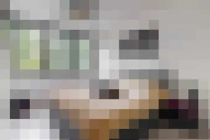 Brouwersveld 49 Koog aan de Zaan thumbnail 17