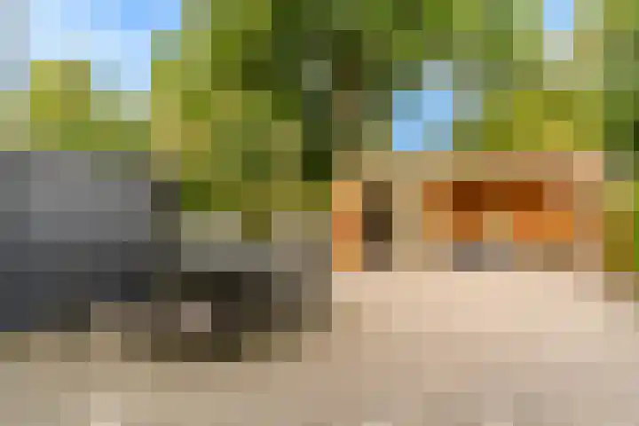 Brouwersveld 49 Koog aan de Zaan thumbnail 30