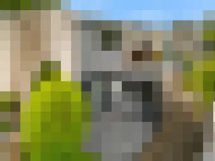 Brouwersveld 49 Koog aan de Zaan thumbnail 33
