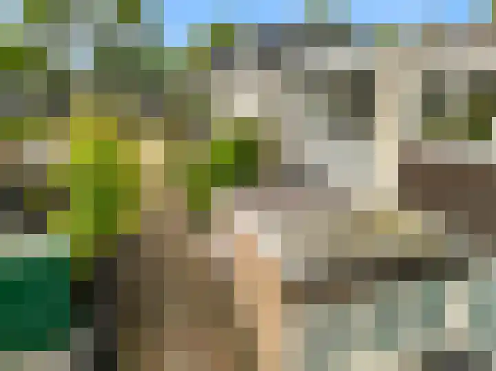 Brouwersveld 49 Koog aan de Zaan thumbnail 34