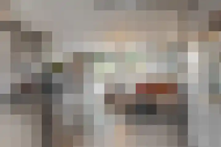 Brouwersveld 49 Koog aan de Zaan thumbnail 6