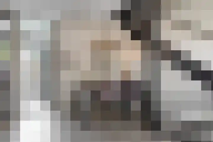Brouwersveld 49 Koog aan de Zaan thumbnail 8