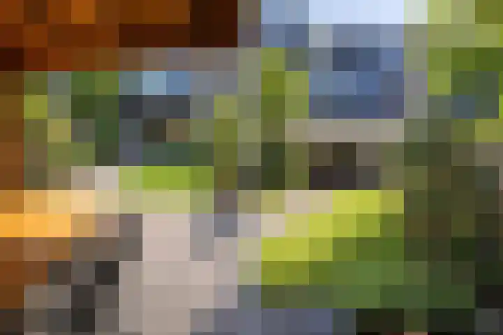 Brouwersveld 63 Koog aan de Zaan thumbnail 28