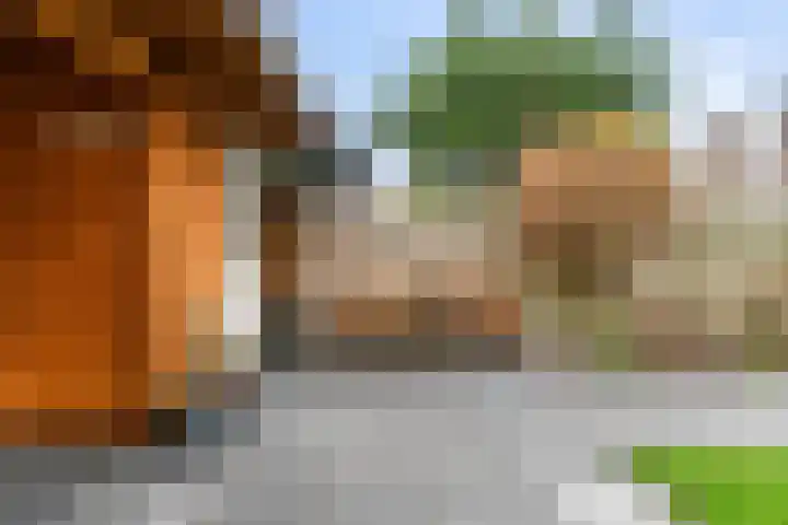 Brouwersveld 63 Koog aan de Zaan thumbnail 32